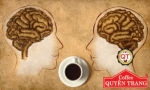 11 lợi ích của cà phê nguyên chất với sức khỏe con người